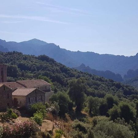 Maison Typique En Plein Coeur De Village Arbori 외부 사진