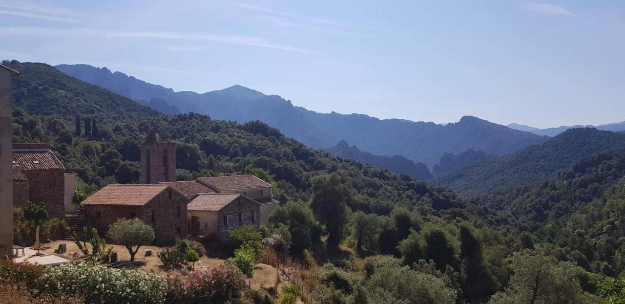 Maison Typique En Plein Coeur De Village Arbori 외부 사진